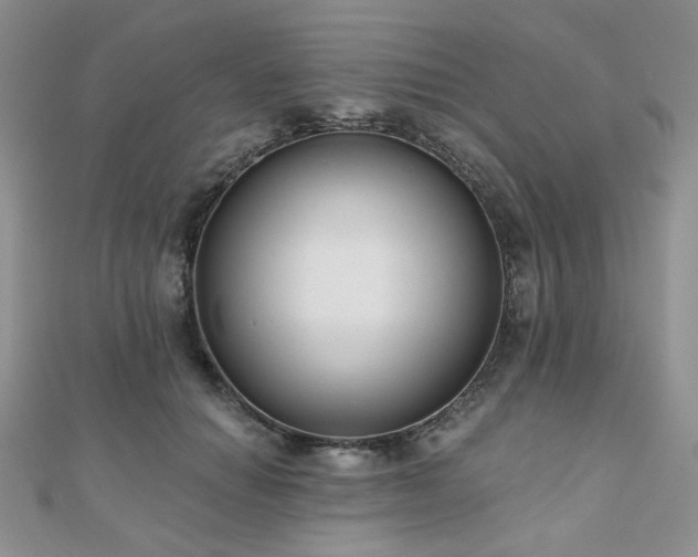 X0000110920654200906181410