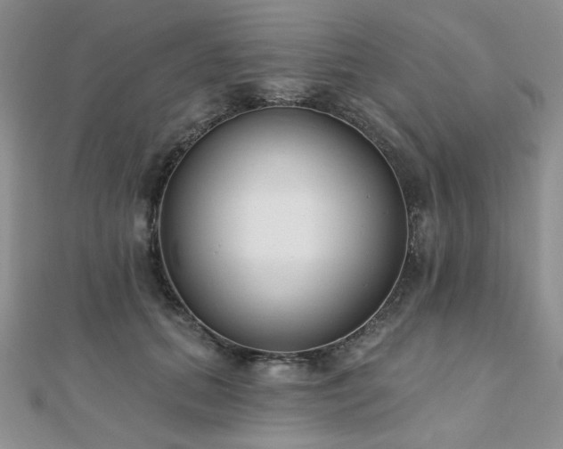 X0000110920655200906181410