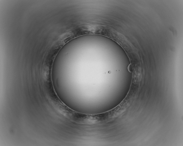 X0000110920656200906181410