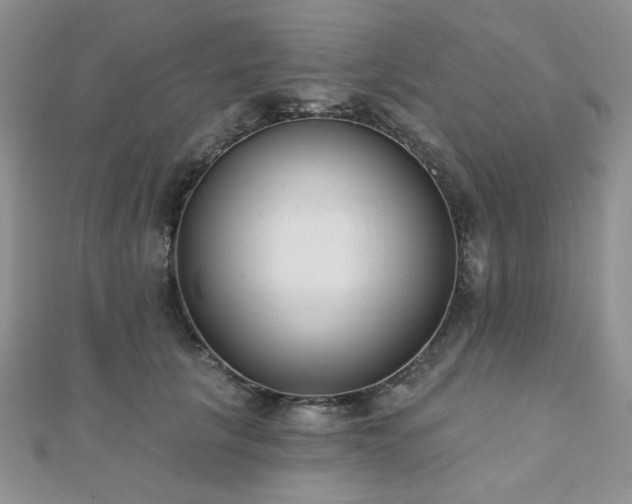 X0000110920657200906181410