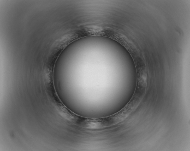 X0000110920658200906181410