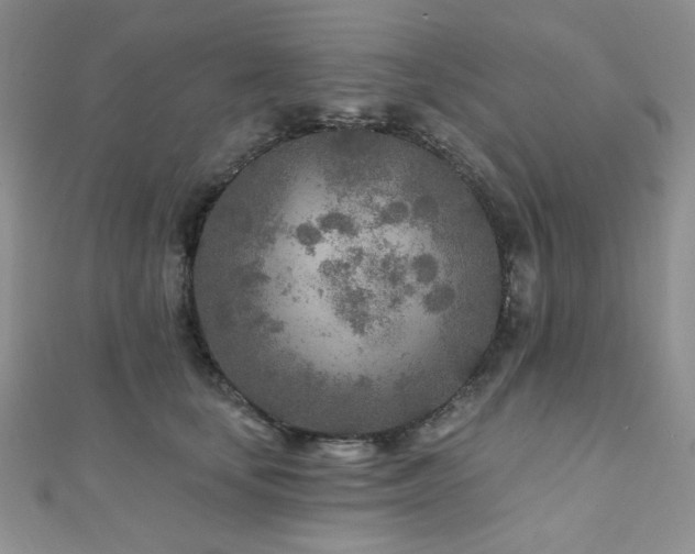 X0000110920659200906181410