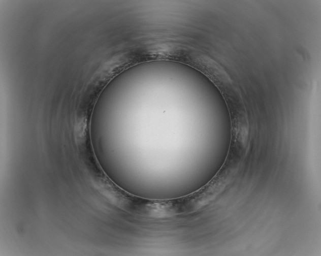 X0000110920660200906181410