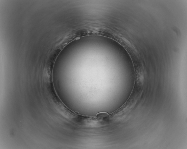 X0000110920661200906181410