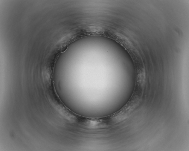 X0000110920662200906181410
