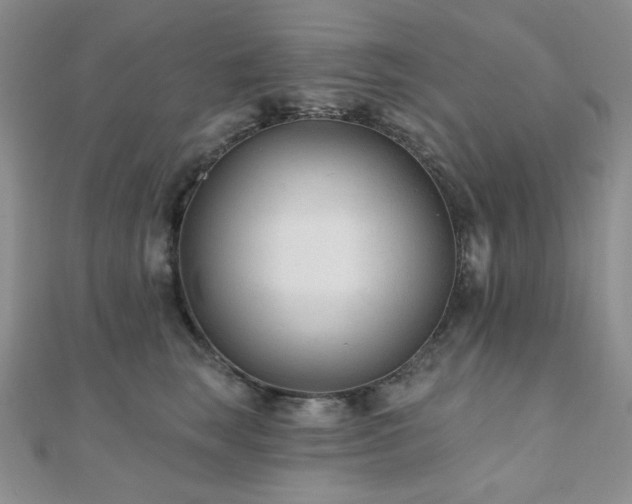 X0000110920663200906181410