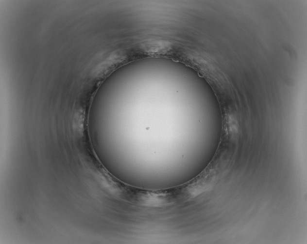 X0000110920664200906181410