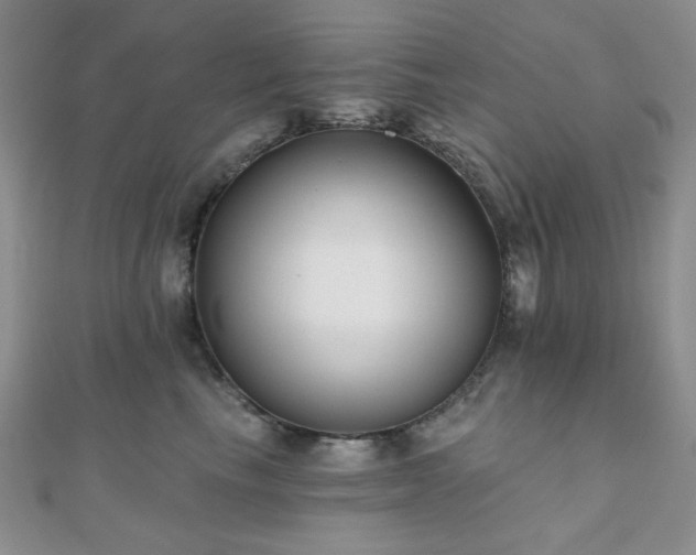 X0000110920665200906181410