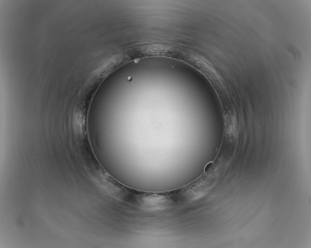 X0000110920669200906181410