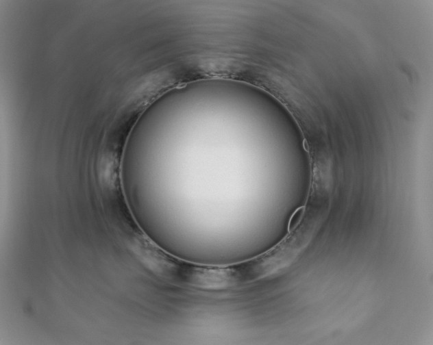 X0000110920671200906181410