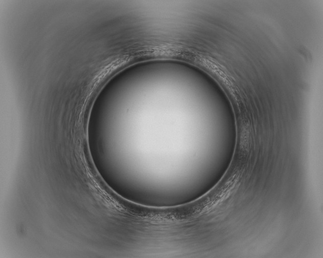 X0000110920673200906181409