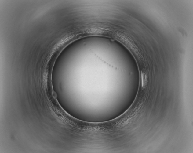 X0000110920675200906181409