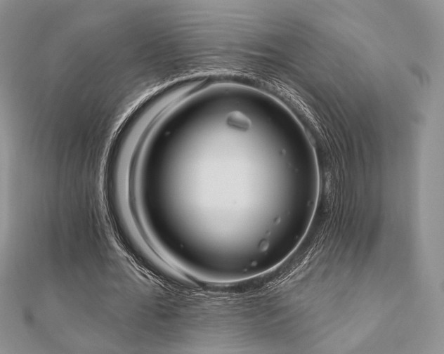 X0000110920676200906181409
