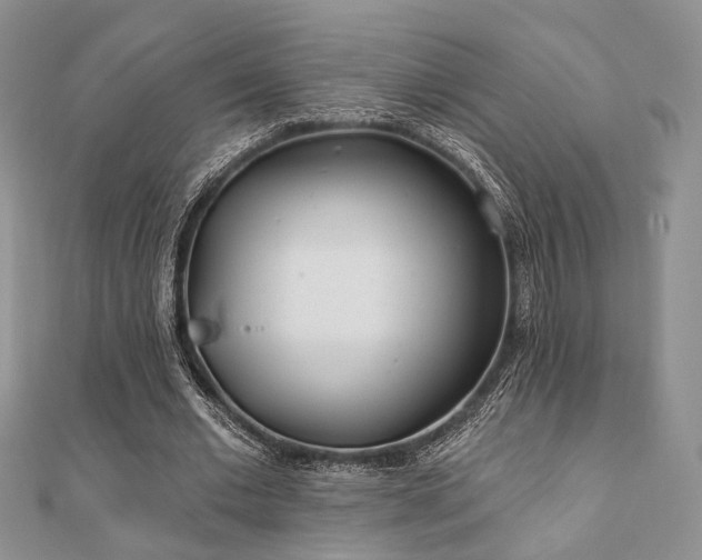 X0000110920677200906181409