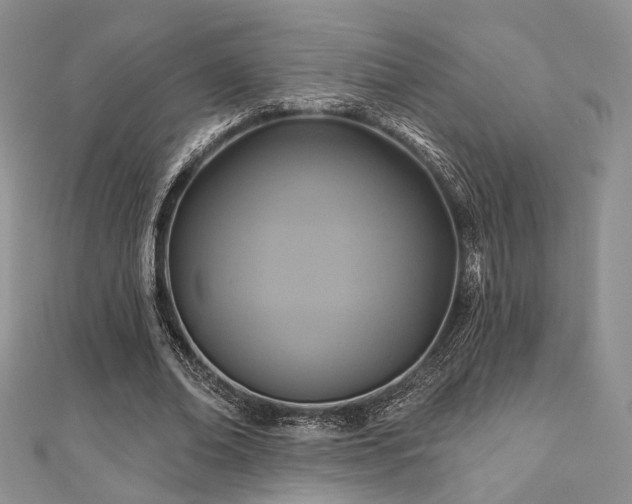 X0000110920678200906181409