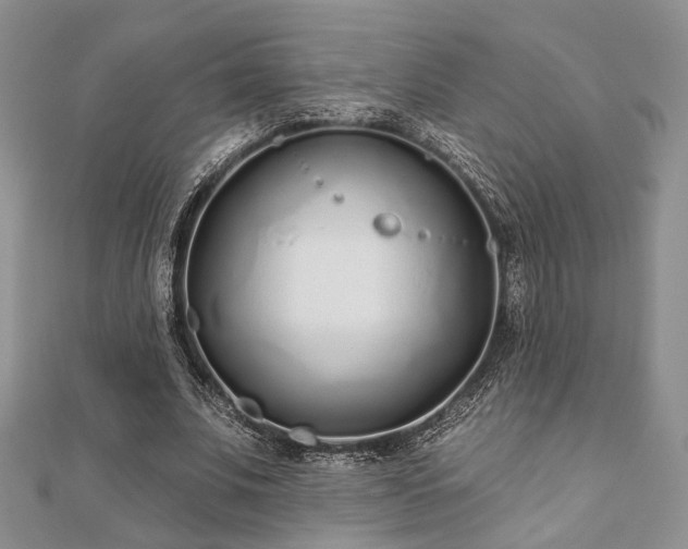 X0000110920679200906181409