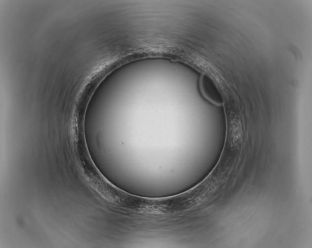 X0000110920680200906181409