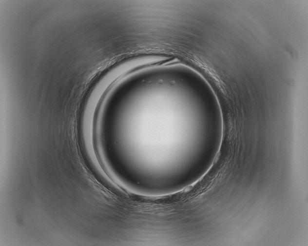 X0000110920681200906181409
