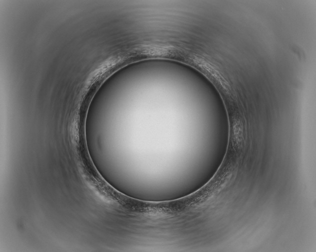 X0000110920682200906181409