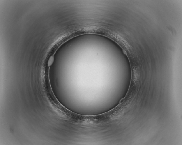 X0000110920684200906181409