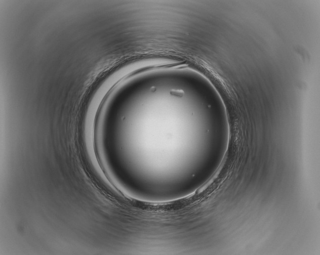 X0000110920685200906181409