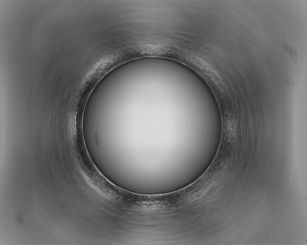 X0000110920686200906181409