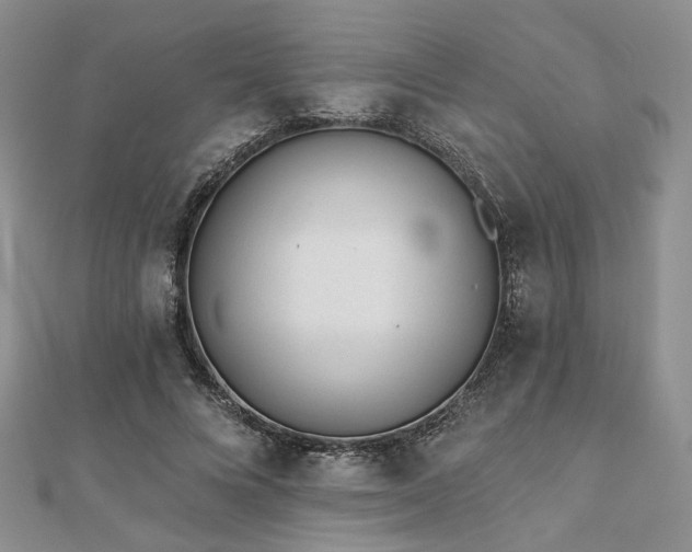 X0000110920688200906181409