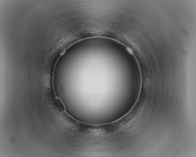 X0000110920689200906181409