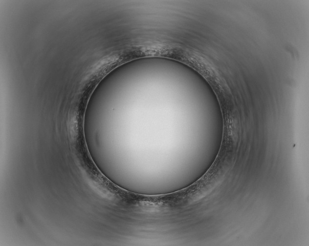 X0000110920690200906181409