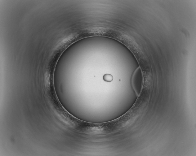 X0000110920692200906181409