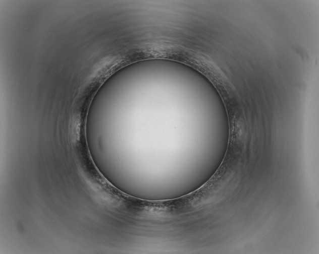 X0000110920694200906181409