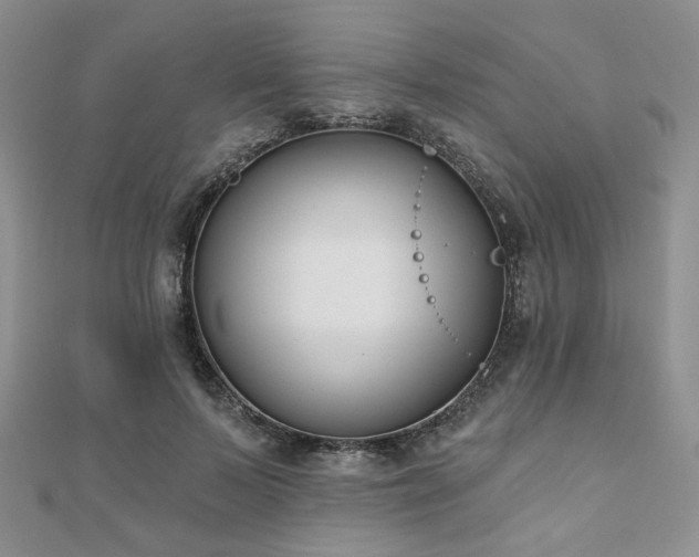 X0000110920695200906181409