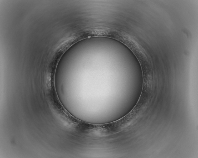 X0000110920696200906181409