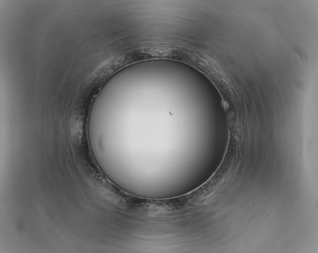 X0000110920697200906181409