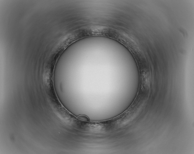 X0000110920698200906181409