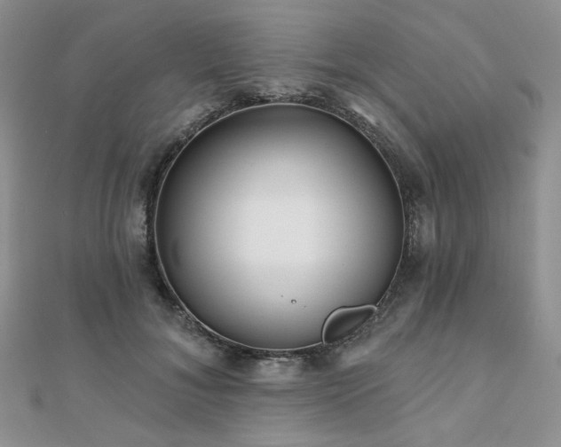 X0000110920700200906181409