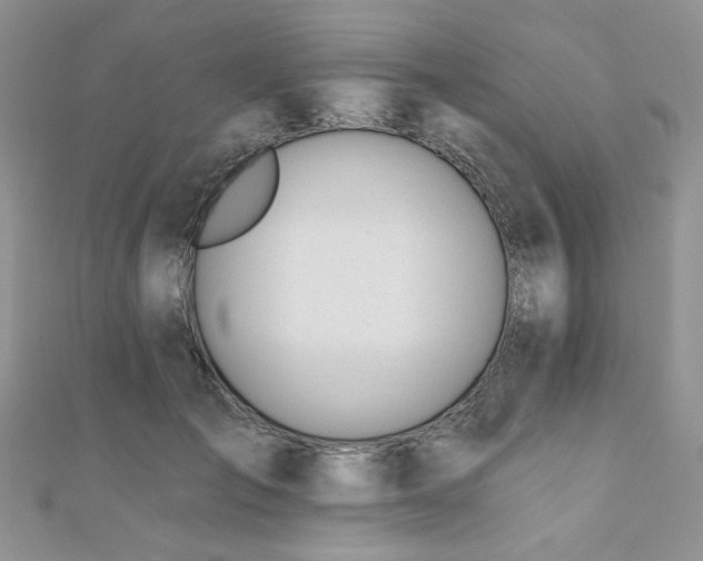 X0000110920701200906181409