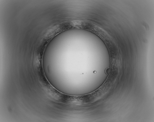 X0000110920702200906181409