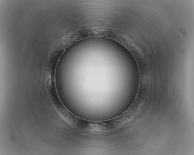 X0000110920703200906181409