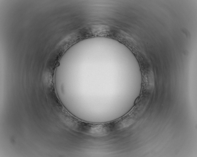 X0000110920705200906181409