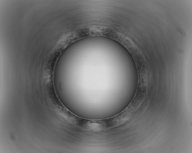 X0000110920706200906181409