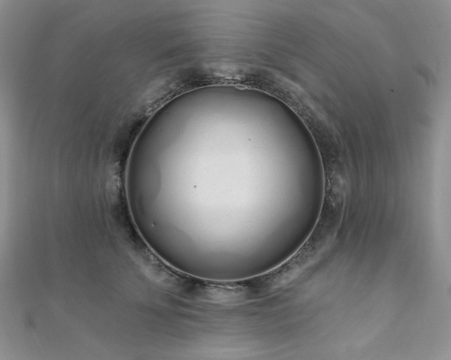 X0000110920707200906181409