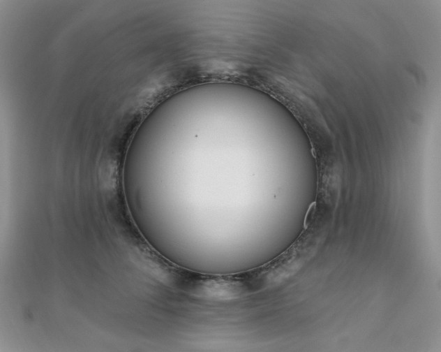 X0000110920708200906181409