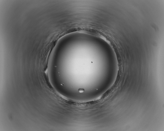 X0000110920709200906181409