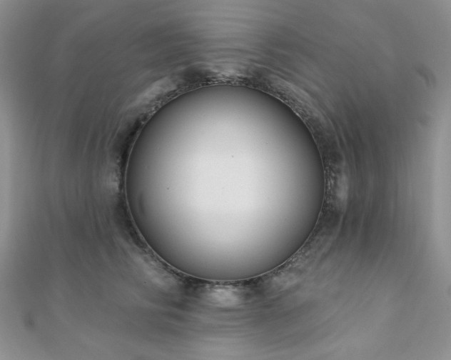 X0000110920710200906181409