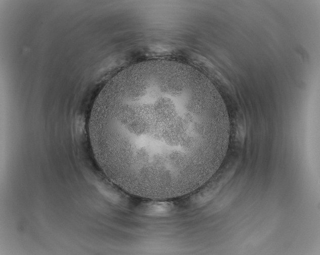 X0000110920711200906181409