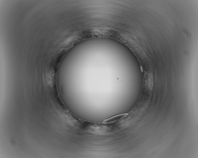 X0000110920712200906181409