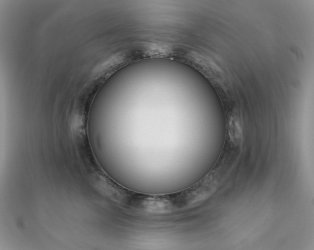 X0000110920714200906181409