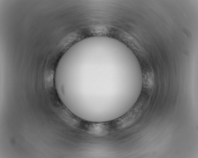 X0000110920717200906181409