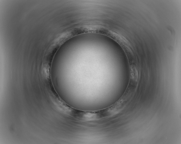 X0000110920718200906181409